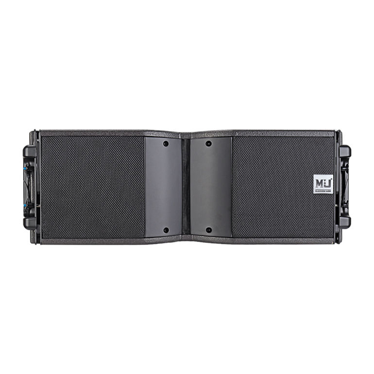 Powerful Two‑Way Line Array Pr – Outdoor Power Line recenzja i cena